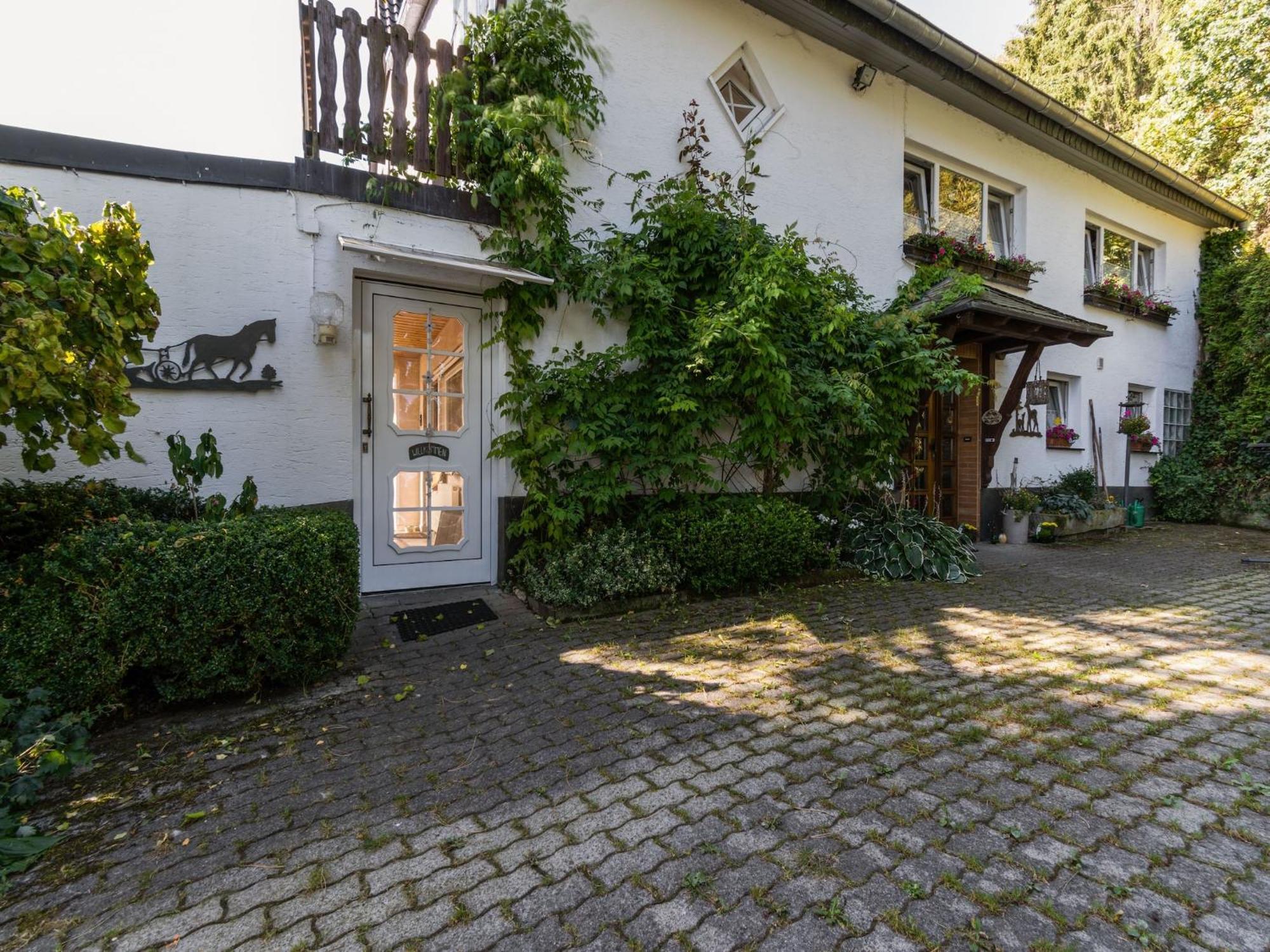 Cosy Apartment In Menkhausen Near The Ski Area シュマレンベルク エクステリア 写真