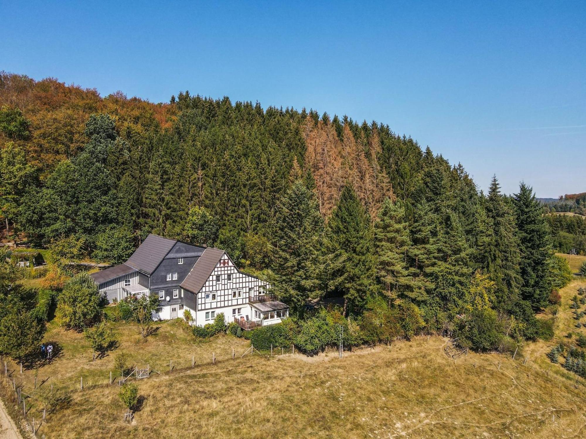 Cosy Apartment In Menkhausen Near The Ski Area シュマレンベルク エクステリア 写真