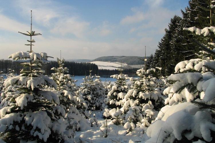 Cosy Apartment In Menkhausen Near The Ski Area シュマレンベルク エクステリア 写真