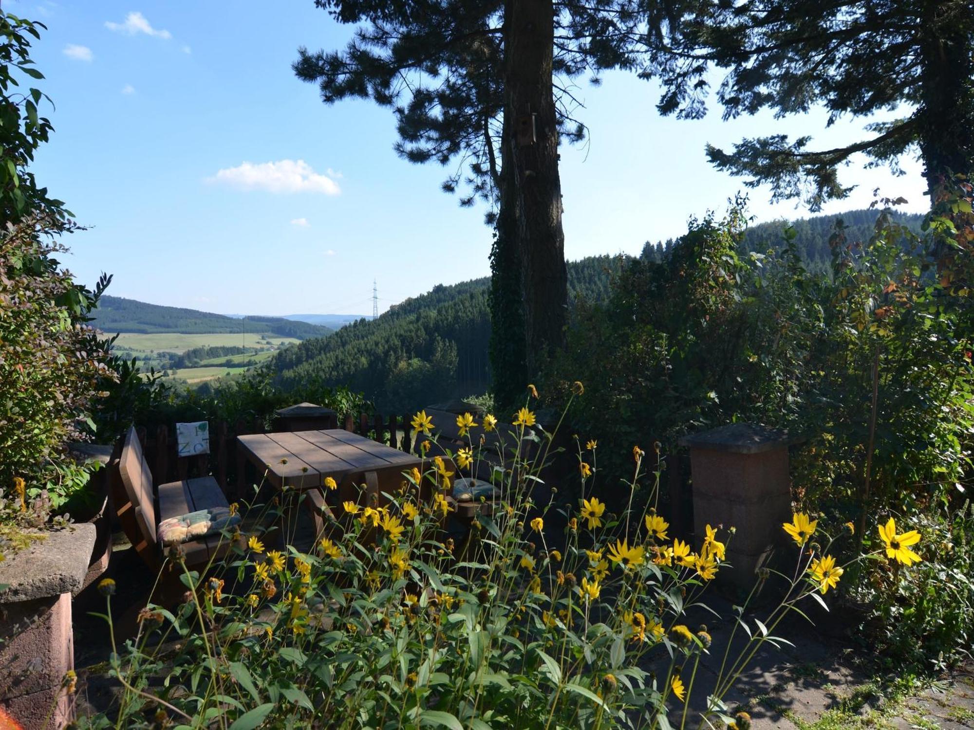 Cosy Apartment In Menkhausen Near The Ski Area シュマレンベルク エクステリア 写真